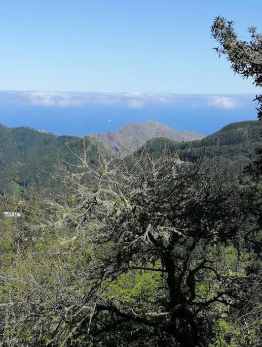 Monte Verde Чинамада Экстерьер фото