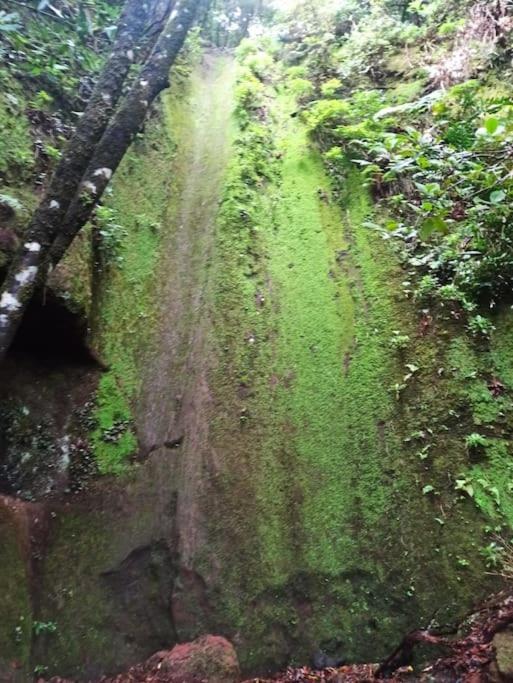 Monte Verde Чинамада Экстерьер фото