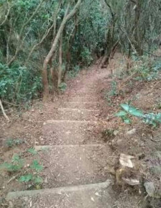 Monte Verde Чинамада Экстерьер фото